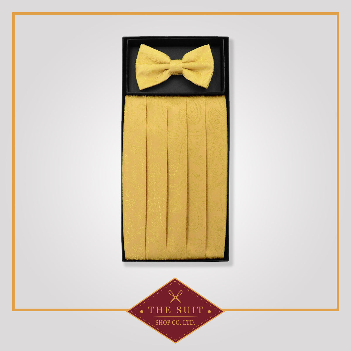 Cummerbund & Bow Tie GOLD PAISLEY Set